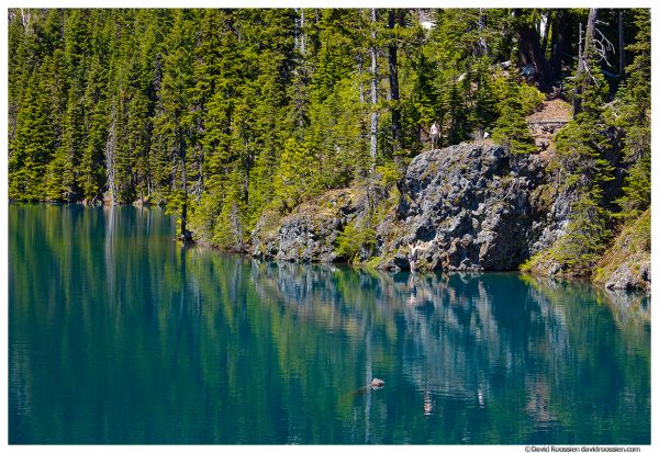 Diving Into Lake Constance, Olympic National Park, Brinnon, Washington, Summer 2017