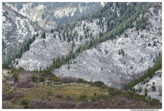 Foothills, Wasatch Mountains, Salt Lake City, Utah, Winter 2014