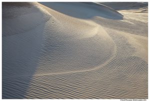 Textured Dune, Silver Lake Sand Dunes, Lake Michigan