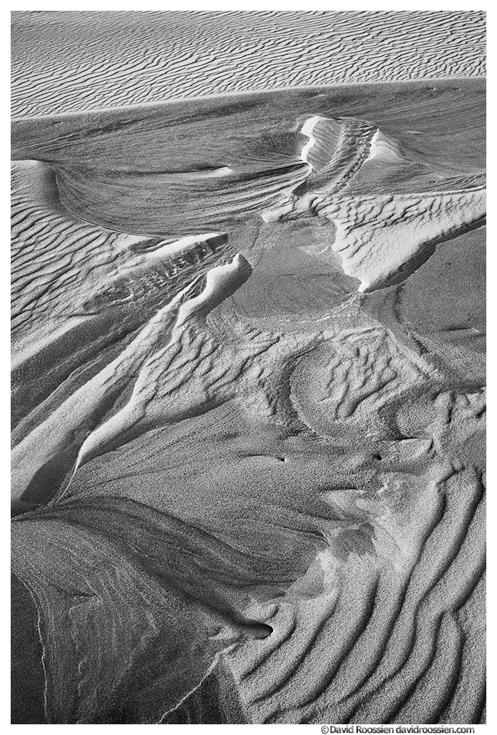 Marbled Dune, Silver Lake Sand Dunes, Lake Michigan
