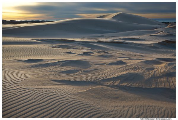 Defiant Dune, Silver Lake Sand Dunes, Oceana County, Lake Michigan