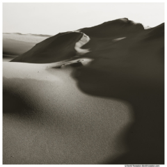 Dune Texture and Shadows, Silver Lake, Oceana County, Michigan