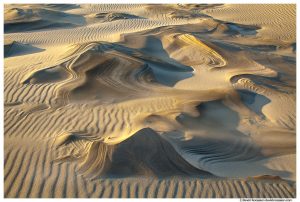Sculpted Dune, Silver Lake Sand Dunes, Michigan