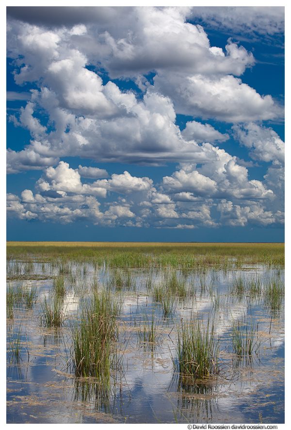 Summer Clouds and Reflections, Florida Everglades Wildlife Management Area, Florida, Summer 2014