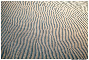 Sand Maze, Silver Lake Sand Dunes, Silver Lake State Park, Oceana County, Michigan, Spring 2016