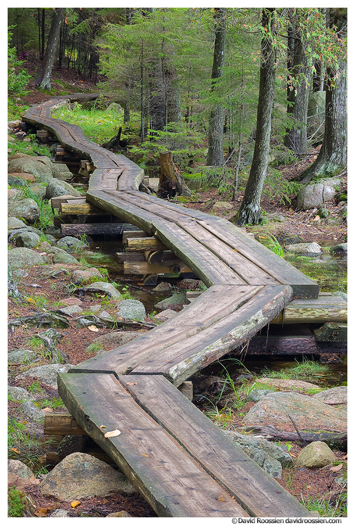 Zig Zag Path, Jordan Pond, Acadia National Park, Maine