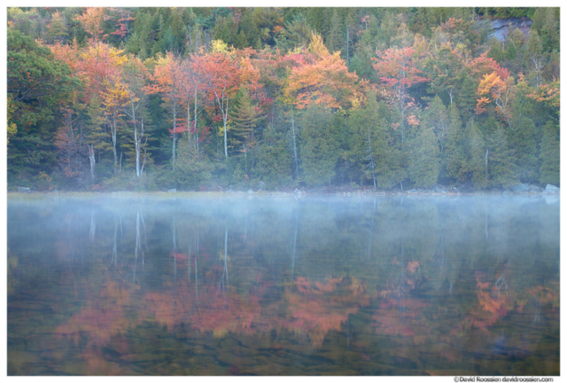 Misty Reflection, Bubble Pond, Acadia National Park, Maine