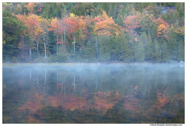 Misty Reflection, Bubble Pond, Acadia National Park, Maine