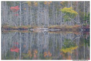Barren Reflection, Upper Hadlock Pond, Acadia National Park, Maine