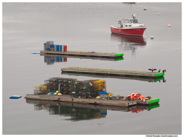 Lobster Boat Dock and Cormorants, Northeast Harbor, Acadia National Park, Maine
