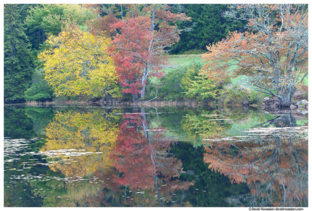 Colorful Reflection, Long Pond, Acadia National Park, Maine
