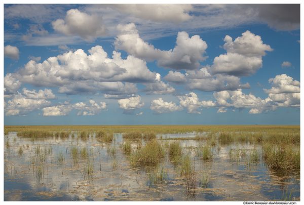 Wetlands and Monsoon Clouds, Florida Everglades