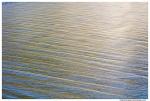 Rippled Reflection, Ruby Beach, Olympic National Park