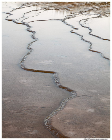 Undulating Steps of Grand Prismatic Spring, Yellowstone National Park