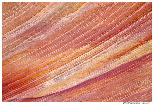 Sandstone Ridges, South Coyote Buttes, January 2021