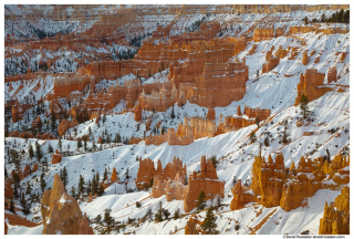 Amphitheater in Winter, Bryce Canyon National Park, Utah, Winter 2021